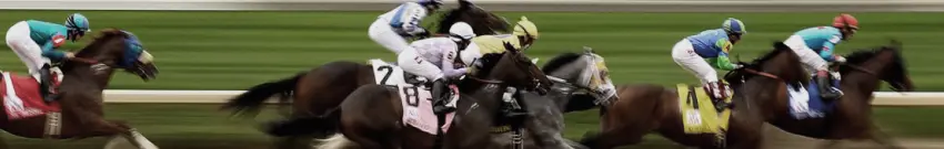 Horse Racing