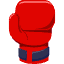 boxing icon
