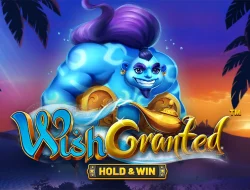 Wish Granted