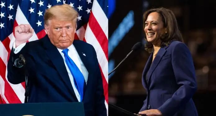 Eleições EUA: Kamala Harris Reduz Distância para Trump em Apostas Eleições EUA Kamala Harris Reduz Distância para Trump em Apostas