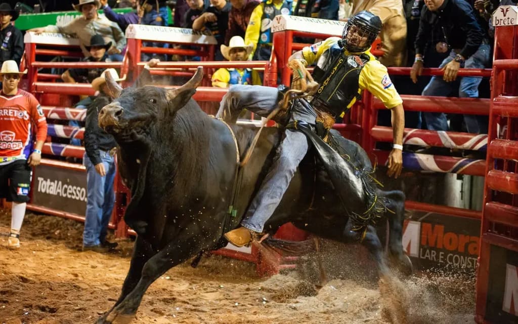 Festa de Barretos reúne 1 milhão de pessoas por ano — Foto: Érico Andrade/G1 Este trecho é parte de conteúdo que pode ser compartilhado utilizando o link https://pipelinevalor.globo.com/negocios/noticia/galerabet-de-apostas-esportivas-vai-tentar-a-sorte-em-rodeios.ghtml ou as ferramentas oferecidas na página.