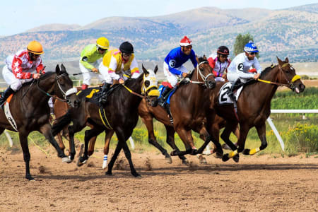 Guia Completo para Apostas em Corridas de Cavalos e Top Sites corridas de cavalos apostas