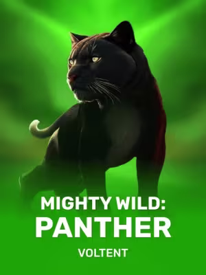 Mighty Wild: Panther Online Slot Online Slot