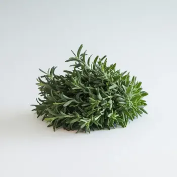 ingredient image