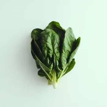 ingredient image