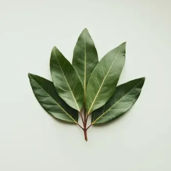 ingredient image