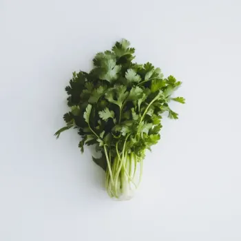 ingredient image