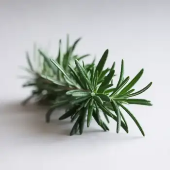 ingredient image