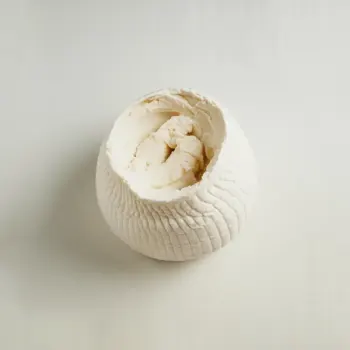 ingredient image