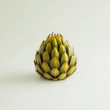 ingredient image