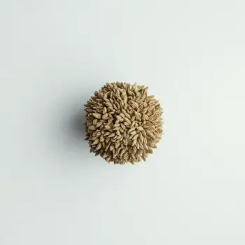 ingredient image