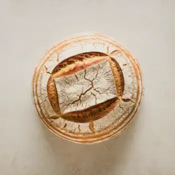 Rustic Dutch Oven White Bread