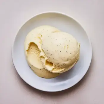 Velvety Vanilla Bean Ice Cream