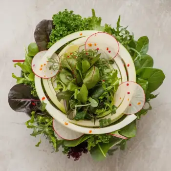 Crisp Fennel and Peppery Arugula Salad with Radishes