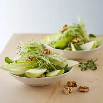 Broccoli Cheddar Delight Soup