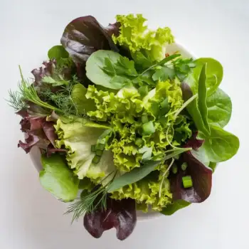 Little Gem Salad with Herbs and Red Wine Vinaigrette