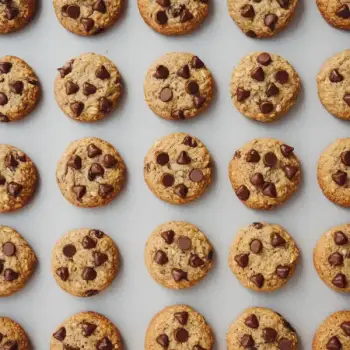 Classic Oatmeal Chocolate Chip Delights