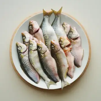 Sake-Miso Glazed Fish Fillets