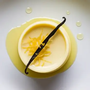 Silky Lemon-Vanilla Panna Cotta