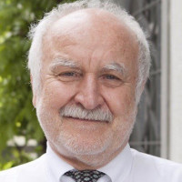 Prof. Dr. Dr. med. Theo Wolfgang Seiler