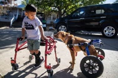 Donate to Safe in Austin Rescue Ranch by Safe in Austin | BetterUnite