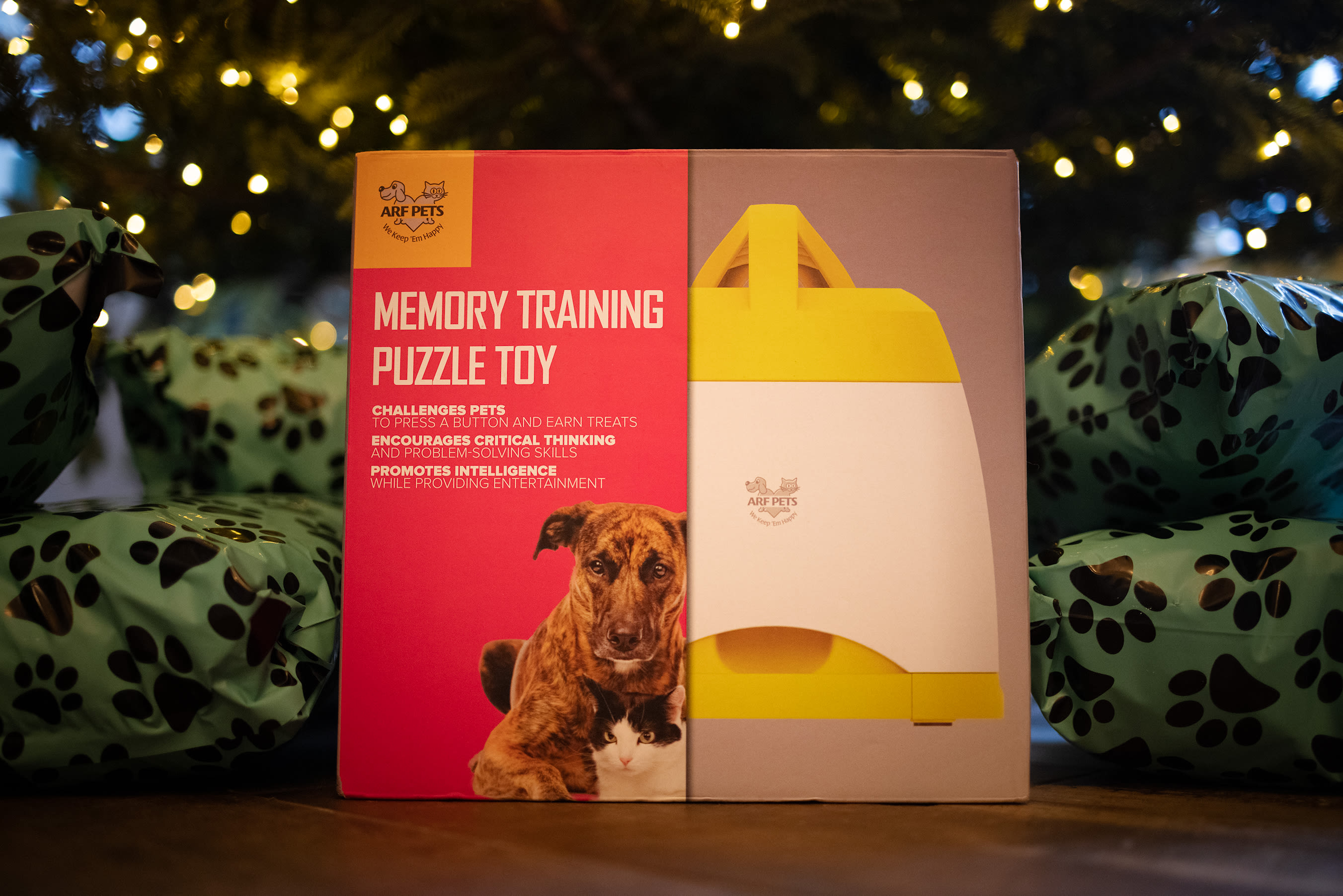 Arf Pets Memory Training Toy 