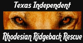 Texas Independent Rhodesian Ridgeback Rescue | BetterUnite