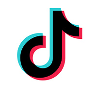 Tiktok Icon