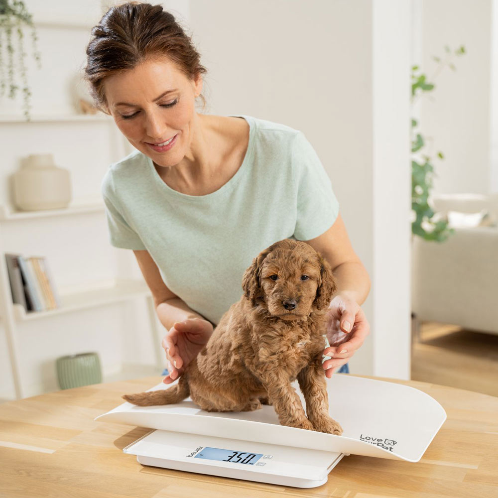 Stand First Examples Pet Scales | beurer