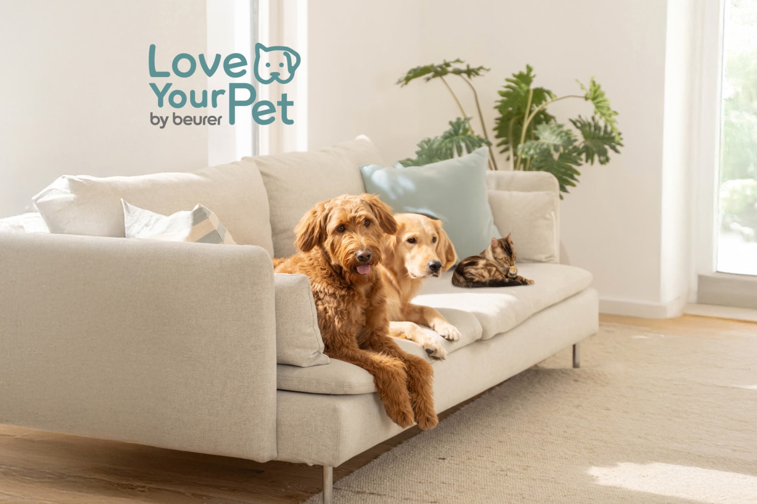 Zwei Hunde und eine Katze liegen auf einem beigen Sofa. Das Logo der "Love Your Pet" Serie von Beurer ist darüber zu sehen mit dem Text "Love Your Pet by beurer"."