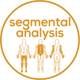 Visualizzazione segmentata Visualizzazione segmentata