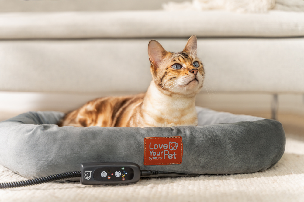 Beurer Wärmebett für Haustiere aus der PetCare Serie auf einem beigen Sofa