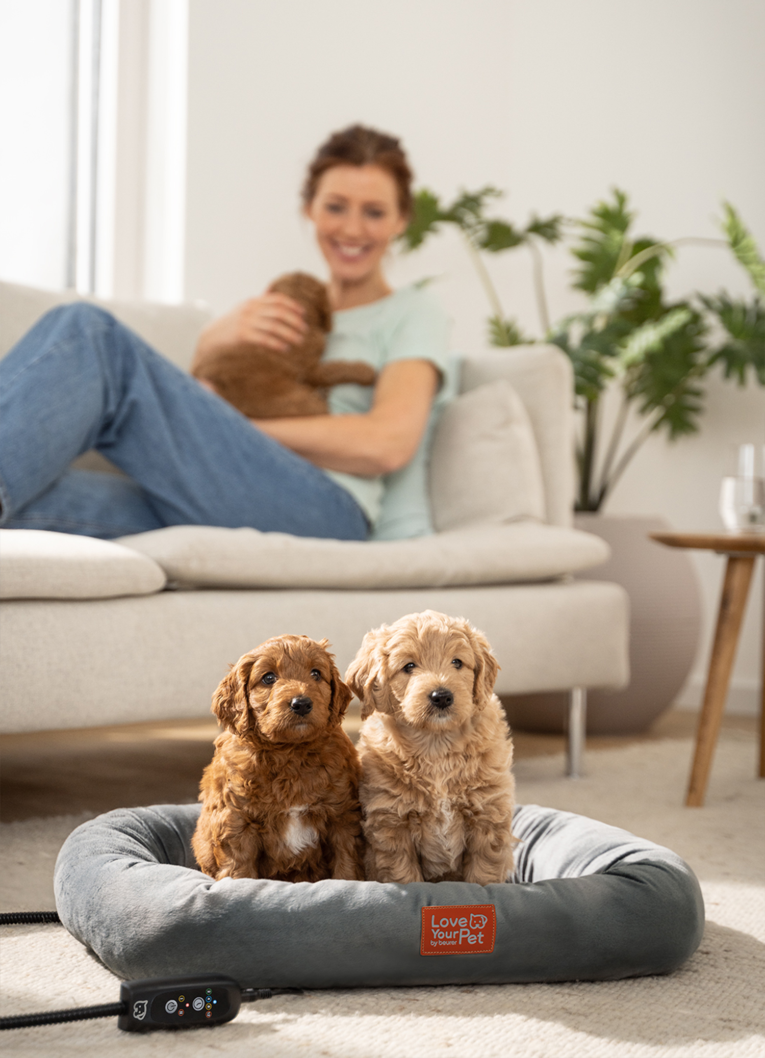 Zwei Welpen sitzen im Beurer Wärmebett für Haustiere und im Hintergrund ist eine Frau auf einem Sofa und einem Welpen im Arm