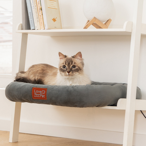 Katze liegt im Beurer Wärmebett für Haustiere aus der PetCare Serie auf dem Boden