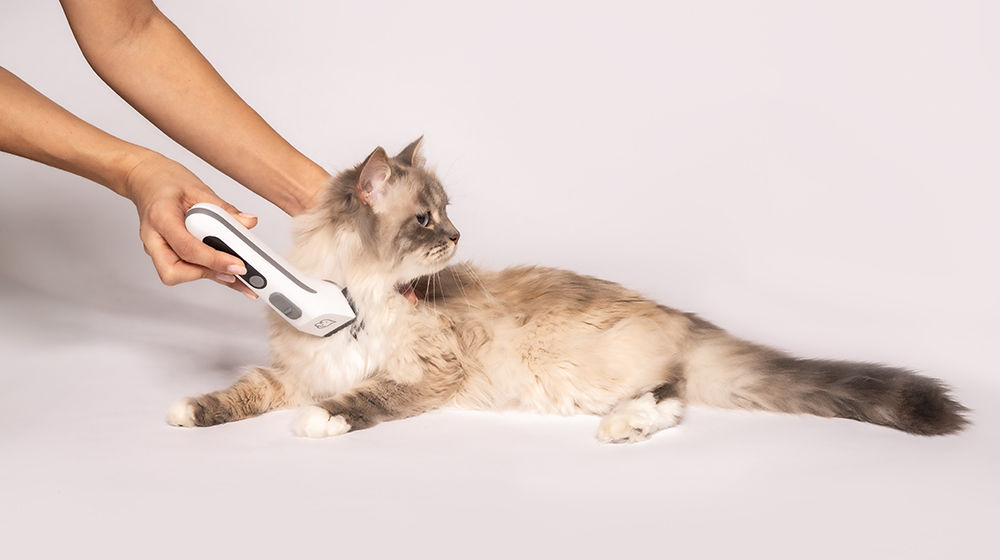 Katze wird mit dem Beurer Fluffy Fellschneider sanft gepflegt