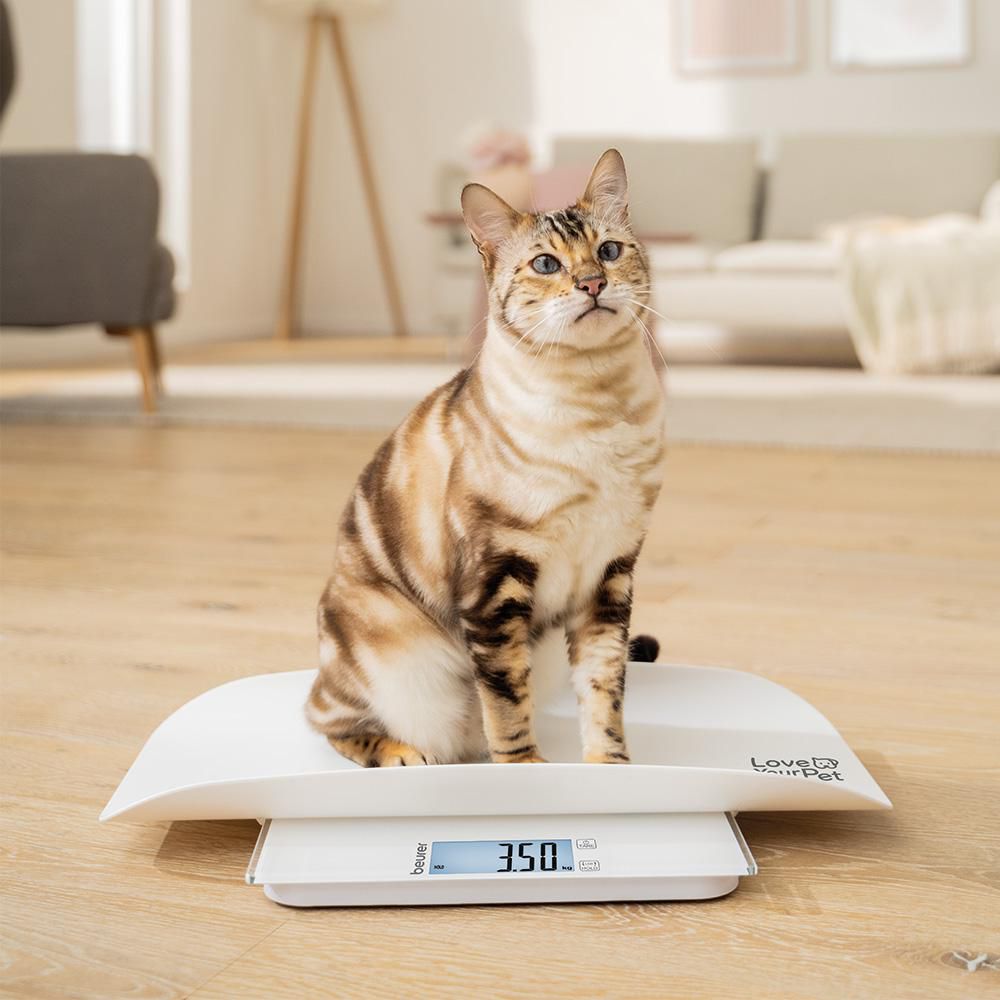 Digitale Tierwaage 300 Kg – LCD, Mit 2 Modi, Edel Produktbild-Vorschau 2