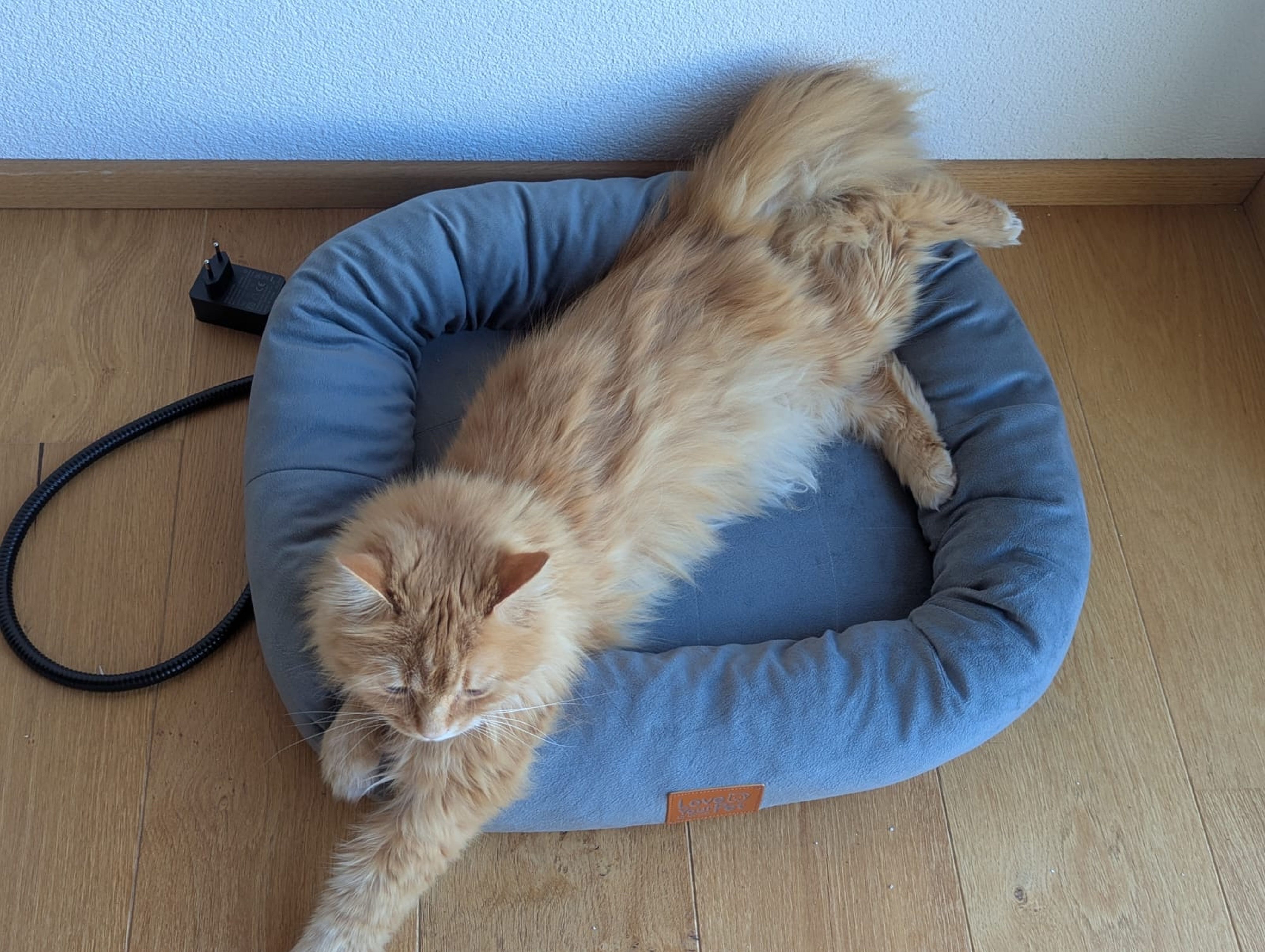 Katze liegt auf einem Heizkissen.