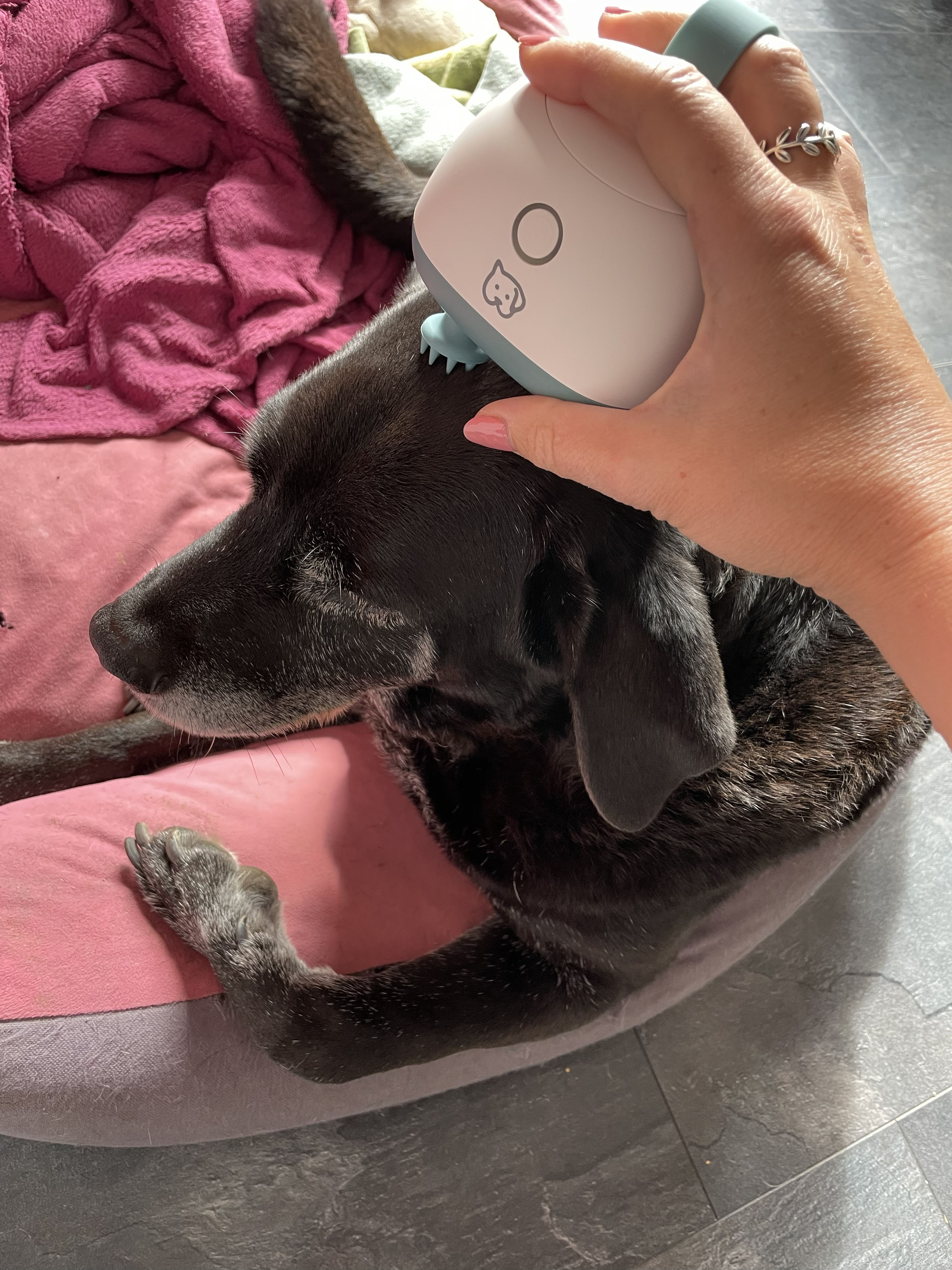 Graues Beurer-Wärmekissen aus der PetCare Serie liegt auf einem hellen Sofa.