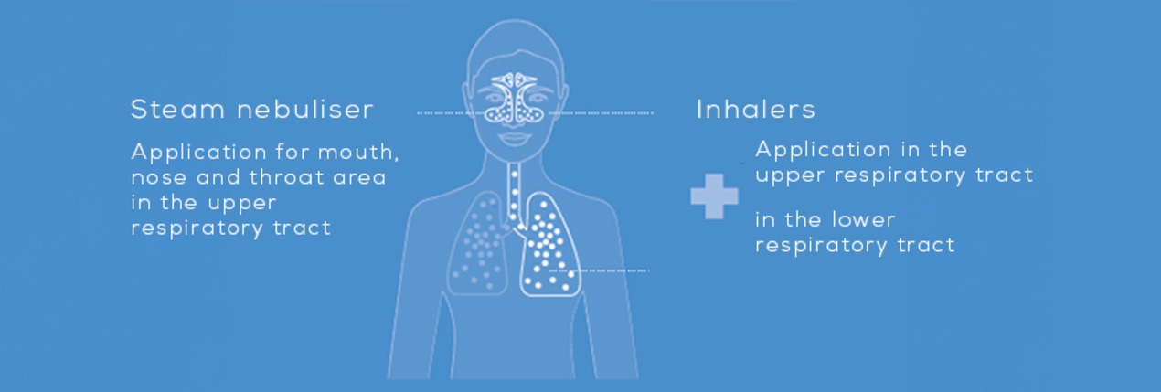 Comparison of steam nebuliser for upper airways and inhaler for upper and lower airways.