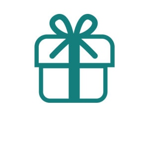 Geschenk Icon