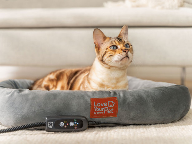 Katze im Kira Wärmekörbchen von Beurer Katze genießt Wärme in Wärmekoerbchen von Beurer