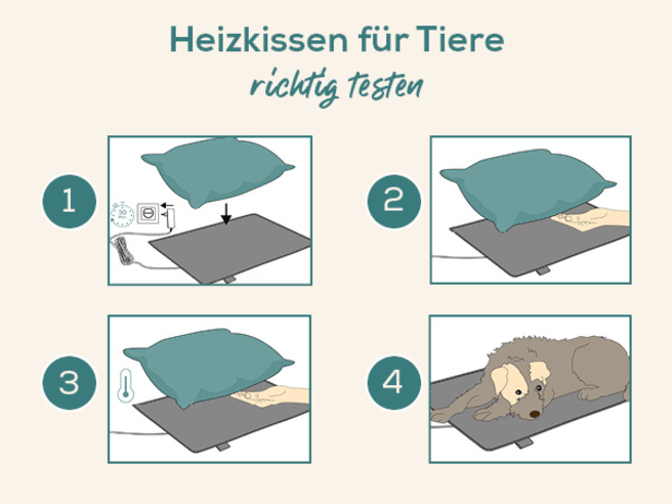 Grafik „Heizkissen richtig testen“: Vier Schritte zeigen, wie ein Heizkissen vorbereitet wird – einstecken und 30 Minuten warten, Hand zwischen Kissen und Heizkissen legen, Wärme prüfen und anschließend sichere Wärme für ein Tier
