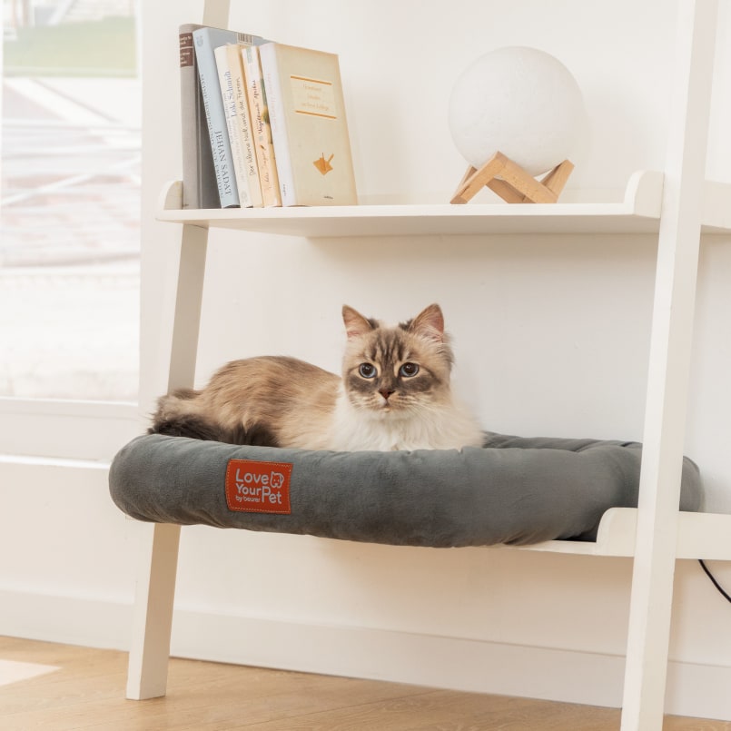 Katze liegt im Wärmebett "Kira" in einem Regal