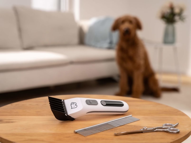 Rasierer Fluffy liegt mit Kamm und Schere auf einem Tisch im Wohnzimmer, im Hintergrund sitzt Hund auf dem Boden