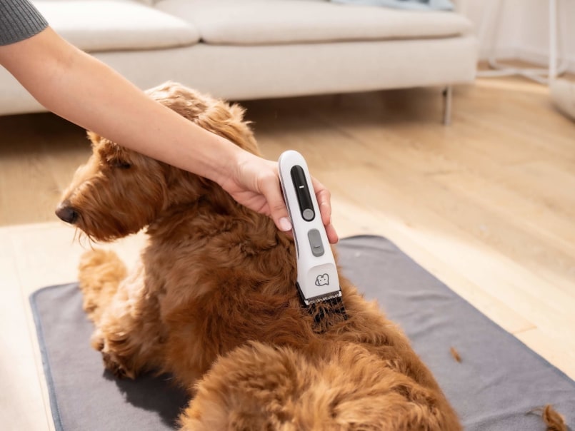 Hund liegt am Boden auf einer Decke und wird mit Fellschneider Fluffy am Rücken rasiert