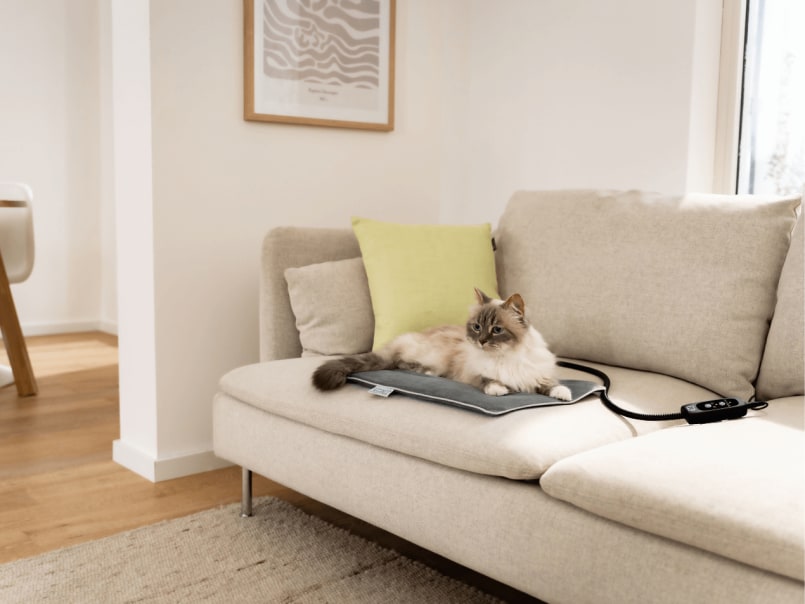 Katze liegt auf Heizmatte Lilli auf einem beigen Sofa