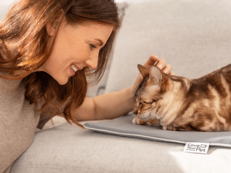 Katze liegt auf Heizmatte auf dem Sofa und hat die Augen geschlossen, Frau lacht sie an und streichelt ihren Kopf