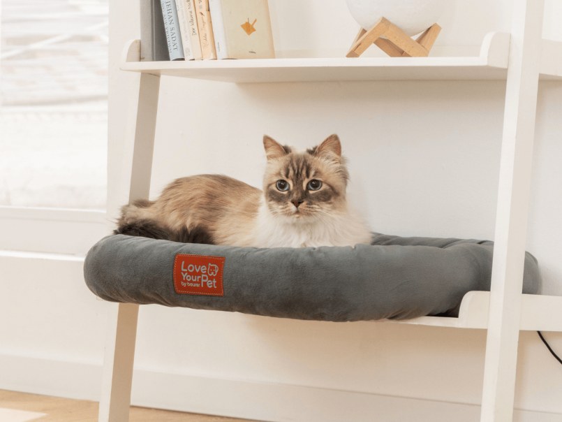 Katze liegt im Wärmebett Kira in einem Regal