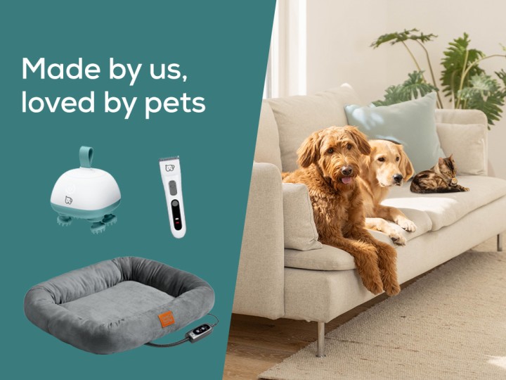 Deux chiens et un chat allongés sur un canapé beige. Le texte : Made by us, loved by pets.