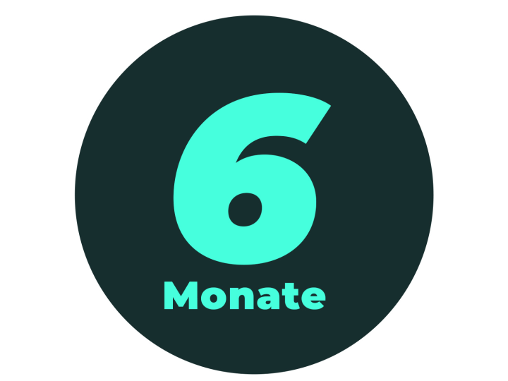 Icon 6 Monate